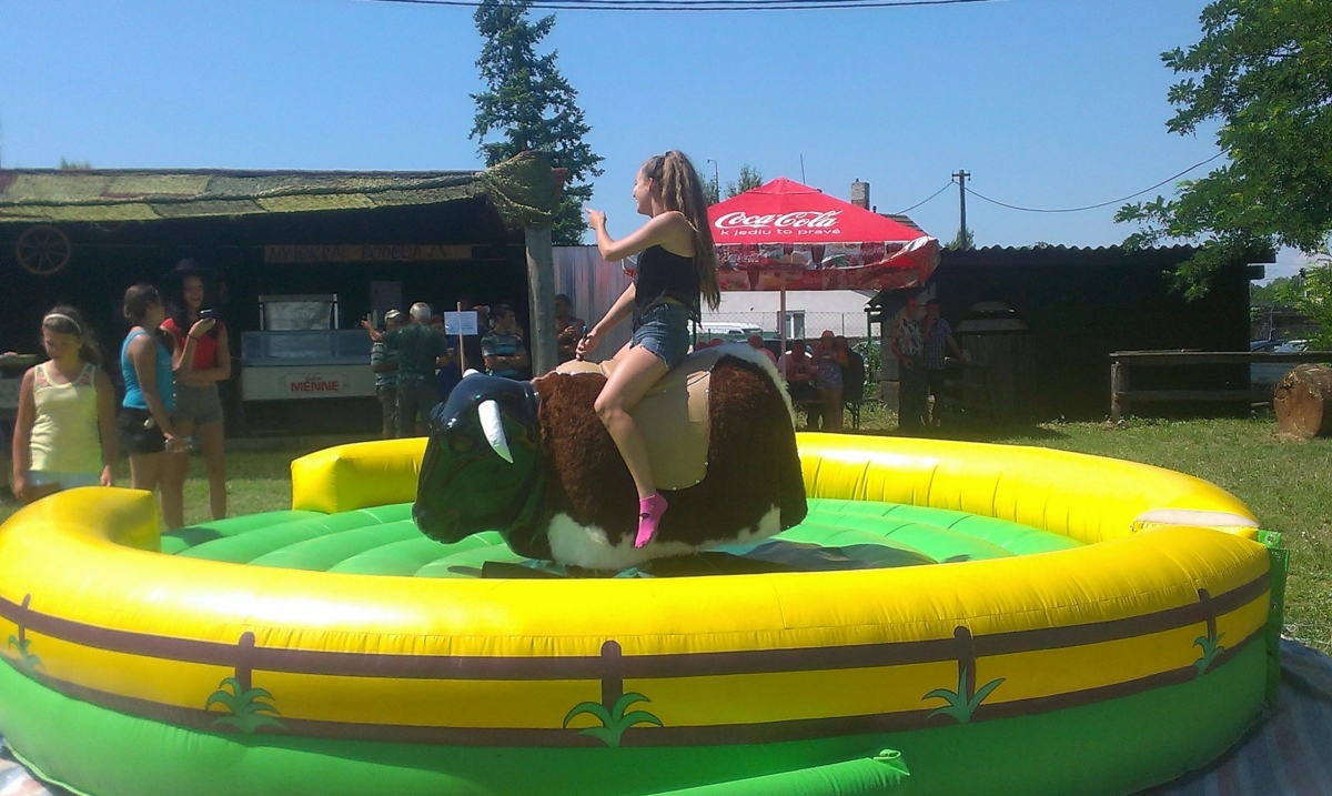 Rodeo býk